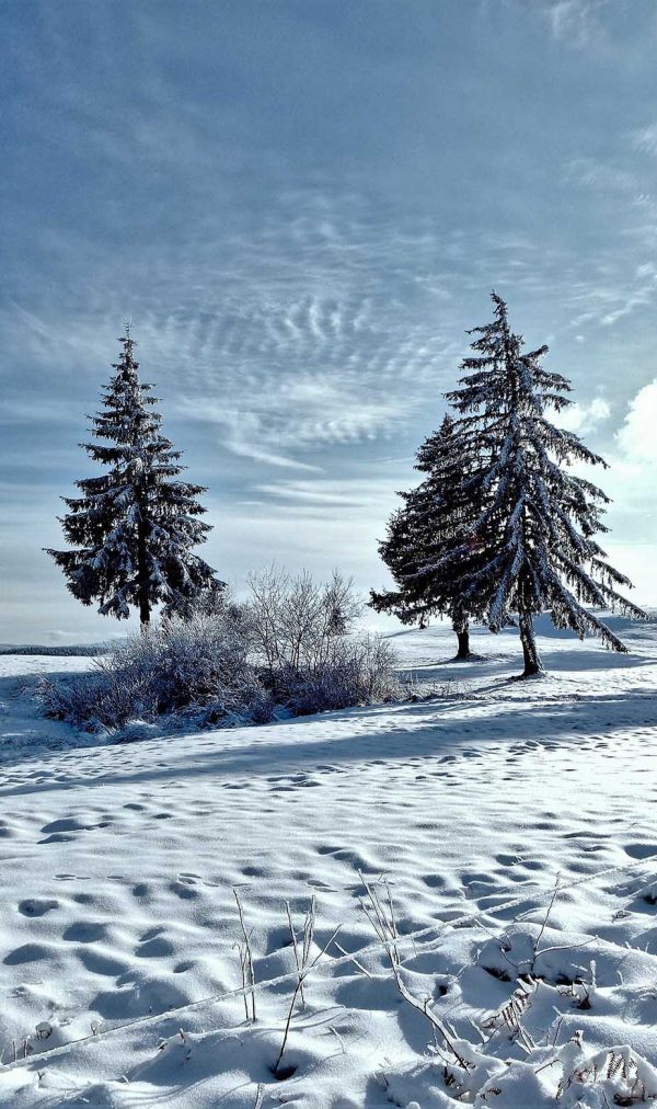 winters-2008857_bis winters-2008857_bis